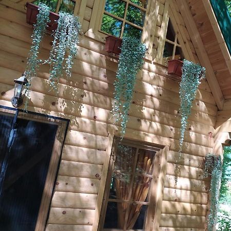 Brvnara Fairy Tale Vila Cetinje Exterior foto