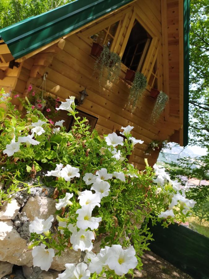 Brvnara Fairy Tale Vila Cetinje Exterior foto