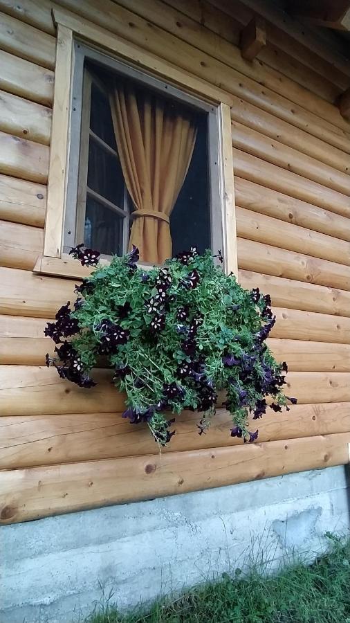 Brvnara Fairy Tale Vila Cetinje Exterior foto