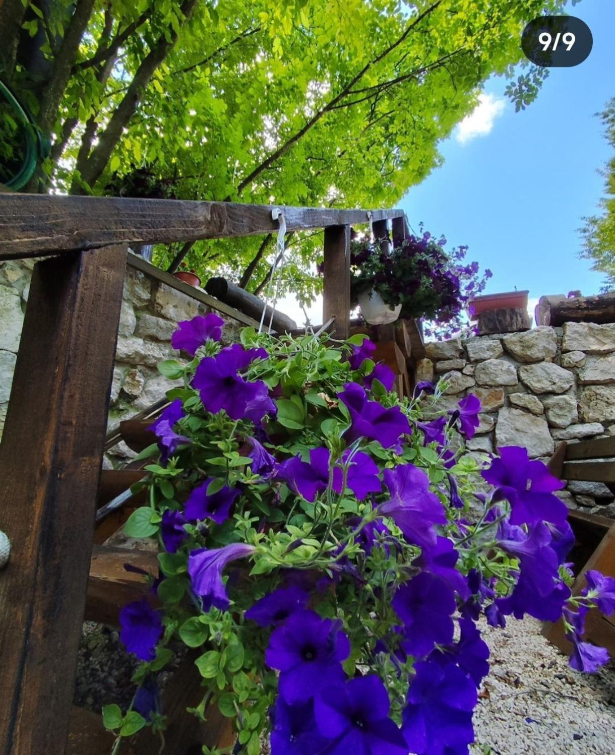Brvnara Fairy Tale Vila Cetinje Exterior foto