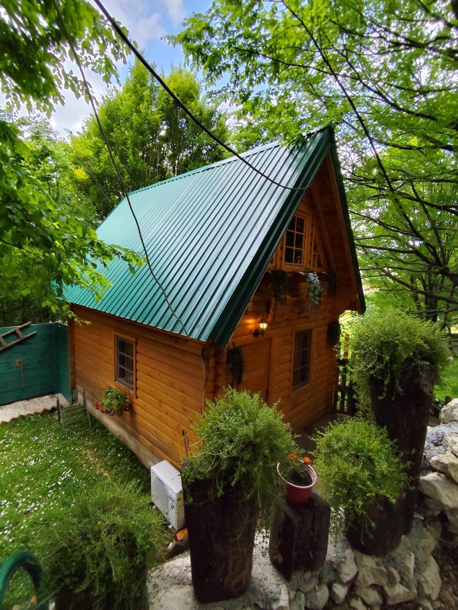 Brvnara Fairy Tale Vila Cetinje Exterior foto